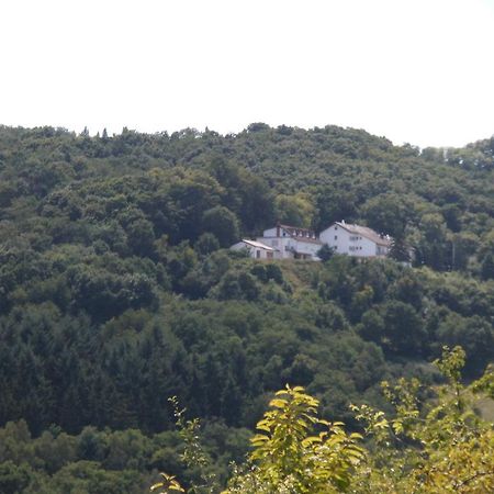 Burg-Hotel Obermoschel Esterno foto