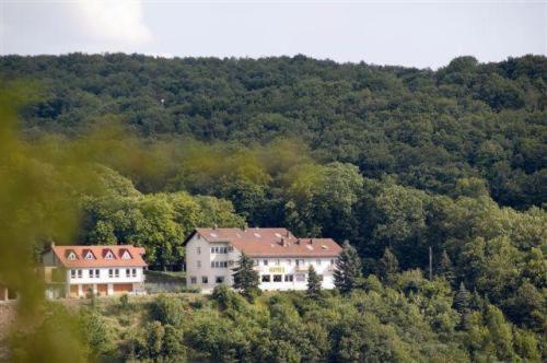 Burg-Hotel Obermoschel Esterno foto