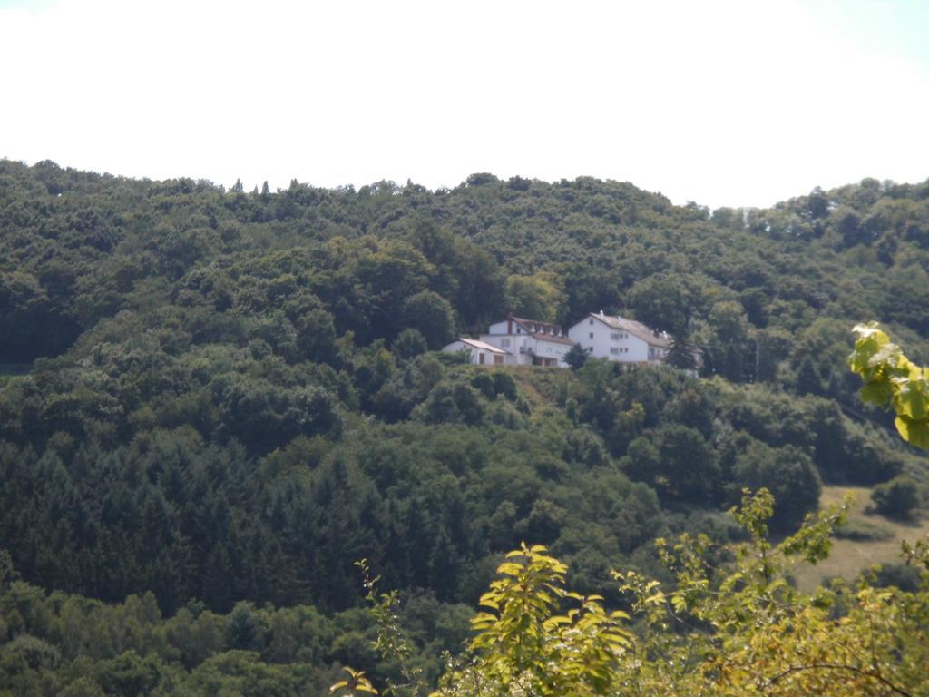 Burg-Hotel Obermoschel Esterno foto