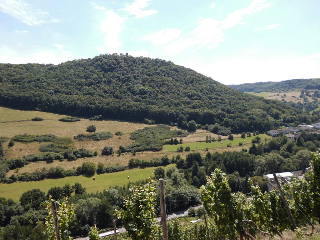 Burg-Hotel Obermoschel Esterno foto